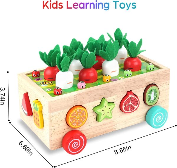 Wooden Educational Toys for Baby Boys Girls Age 1 2 3 Year Old, Shape Sorting Toys 1st  First Birthday Girl Gifts for Kids 1-3, Wood Preschool Learning Fine Motor Skills Game - Image 2