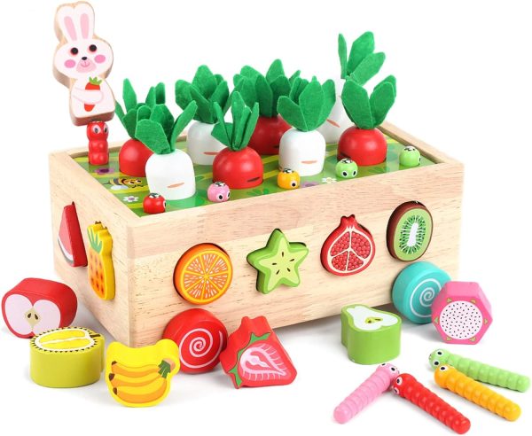 Wooden Educational Toys for Baby Boys Girls Age 1 2 3 Year Old, Shape Sorting Toys 1st  First Birthday Girl Gifts for Kids 1-3, Wood Preschool Learning Fine Motor Skills Game